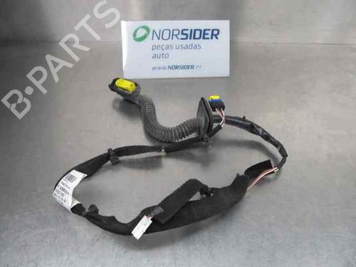 Used Wiring harness RENAULT CLIO III (BR0/1, CR0/1) 1.2 16V (BR02, BR0J, BR11, CR02, CR0J, CR11) (75 hp) 19194603