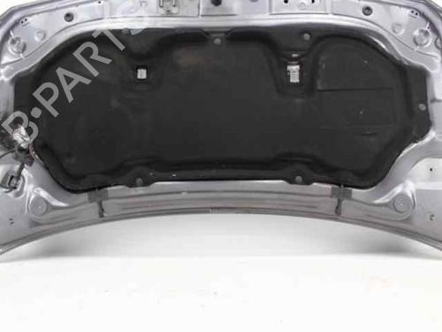 Hood RENAULT MEGANE II (BM0/1_, CM0/1_) 1.5 dCi (BM0F, BM0T, BM2B, CM0F, CM0T) | BP19217674C1 