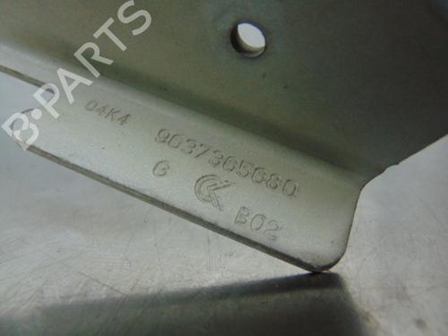 Hinge/Door check strap CITROËN C3 I (FC_, FN_) 1.4 HDi | BP19197260C146 