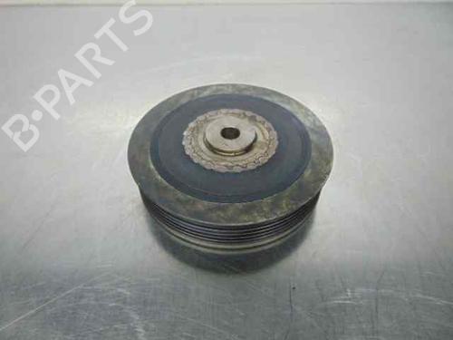 Pulley RENAULT SCÉNIC I MPV (JA0/1_, FA0_) 1.9 dCi (JA05, JA1F) | BP19192527M122 