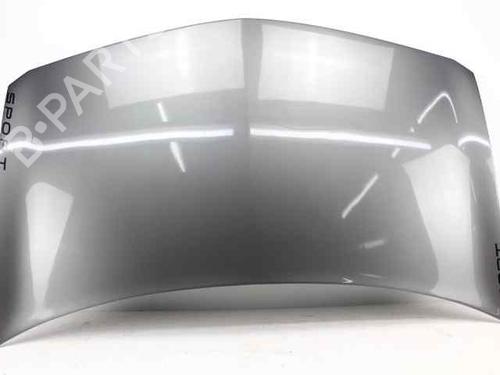 Used Hood RENAULT MEGANE II (BM0/1_, CM0/1_) 1.5 dCi (BM0F, BM0T, BM2B, CM0F, CM0T) (82 hp) 19217674