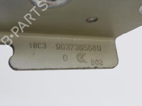 Hinge/Door check strap CITROËN C3 I (FC_, FN_) 1.4 HDi | BP19204563C146 