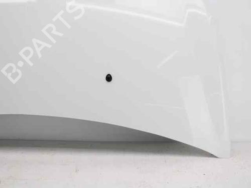 Hood RENAULT CLIO III (BR0/1, CR0/1) 1.5 dCi (BR17, CR17) | BP19221840C1