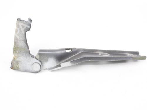 Hinge/Door check strap SEAT LEON (1M1)  | BP19214566C146 
