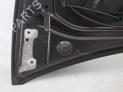 Hood RENAULT CLIO III Grandtour (KR0/1_) 1.2 16V (KR02, KR0J) | BP19245401C1