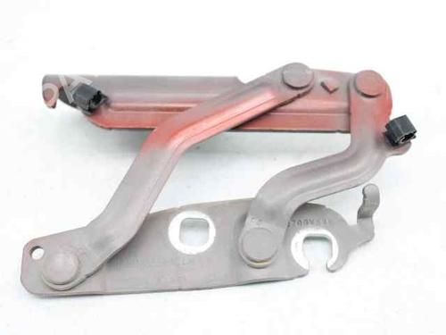 Hinge/Door check strap FORD FIESTA VI (CB1, CCN)  | BP19226230C146 