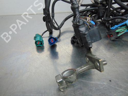 Wiring harness FORD FOCUS II Turnier (DA_, FFS, DS) 1.4 | BP19195788E16 