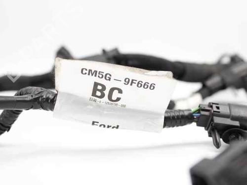 Wiring harness FORD B-MAX (JK)  | BP19222339E16 