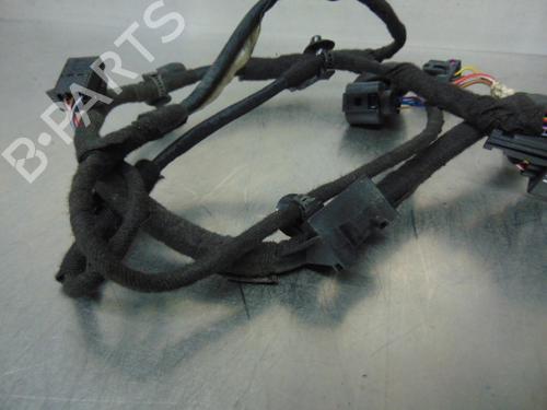 Wiring harness VW GOLF IV (1J1)  | BP19193803E16 
