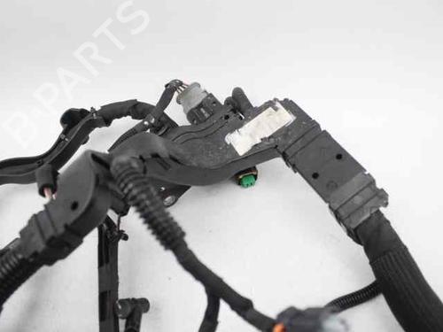 Wiring harness PEUGEOT 208 I (CA_, CC_) 1.4 HDi | BP19245682E16 