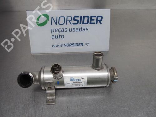 Used Egr FORD FIESTA VI (CB1, CCN) 1.4 TDCi (68 hp) 19194475