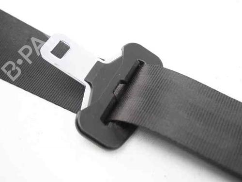 Rear left belt tensioner RENAULT SCÉNIC III (JZ0/1_) 1.5 dCi | BP19231386C89 
