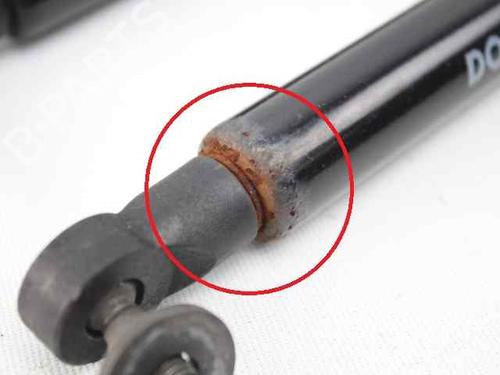 Tailgate lift support JEEP GRAND CHEROKEE II (WJ, WG) 3.1 TD 4x4 | BP19228079C138 