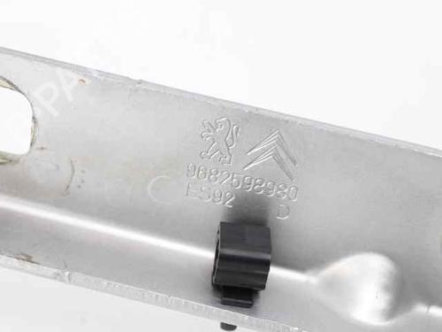 Hinge/Door check strap PEUGEOT 3008 I MPV (0U_) 1.6 HDi | BP24651725C146 