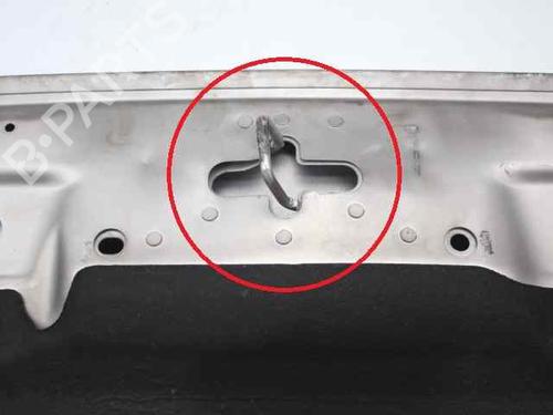 Hood VOLVO V50 (545) D2 | BP19917772C1 