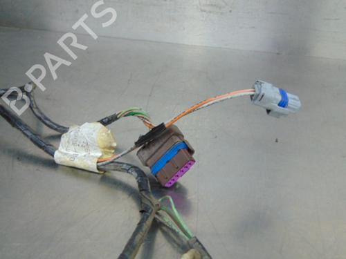 Wiring harness PEUGEOT 206 Hatchback (2A/C) 1.4 HDi eco 70 | BP19197946E16 