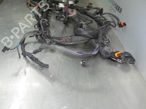 Wiring harness MERCEDES-BENZ S-CLASS (W220)  | BP19188575E16 