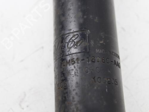 Left rear shock absorber FORD FOCUS II (DA_, HCP, DP)  | BP19211695M18 