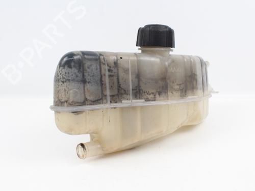 Used Expansion tank RENAULT CLIO III (BR0/1, CR0/1) 1.5 dCi (BR17, CR17) (86 hp) 19211761
