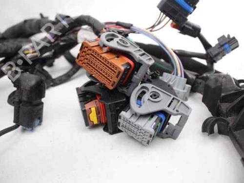 Wiring harness CITROËN C4 I (LC_) 1.6 HDi | BP19244102E16 