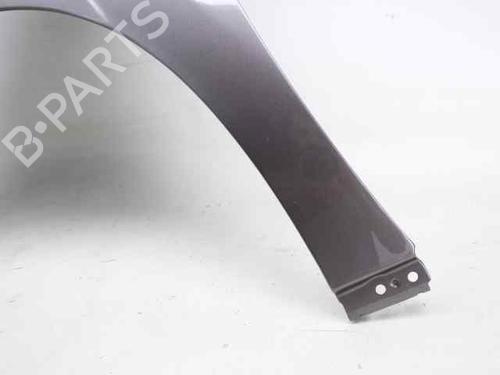 Left front fenders PEUGEOT 2008 I (CU_) 1.6 HDi | BP29320669C41 