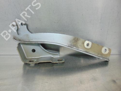 Hinge/Door check strap FIAT GRANDE PUNTO (199_) 1.3 D Multijet (199.AXD11, 199.AXD1A, 199.AXD1B,... | BP19201531C146 