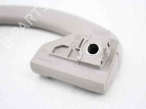 Interior roof handle FIAT BRAVO II (198_) 1.9 D Multijet (198AXB1A) | BP19231467I35 