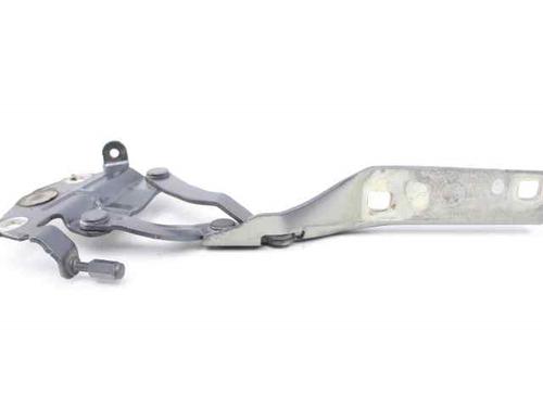 Hinge/Door check strap VW PASSAT B6 (3C2) 1.6 TDI | BP21199675C146 