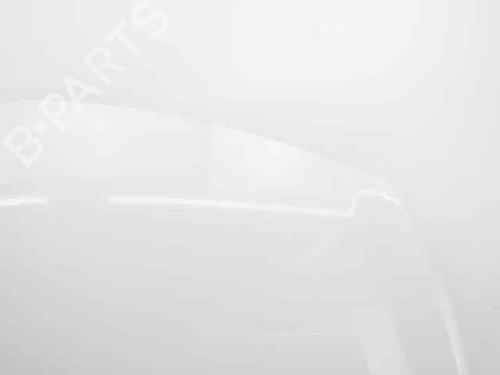 Hood RENAULT CLIO III (BR0/1, CR0/1) 1.5 dCi (BR17, CR17) | BP19221840C1