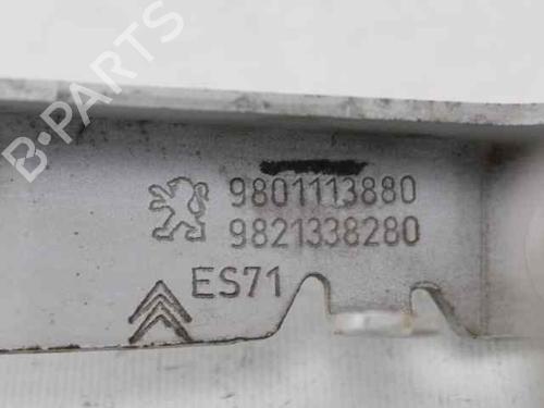 Hinge/Door check strap CITROËN C4 CACTUS 1.2 THP 110 | BP36029302C146 - Image 5