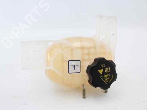 Used Expansion tank FIAT TIPO Hatchback (356_, 357_) 1.3 D (356HXH1A) (95 hp) 30333527