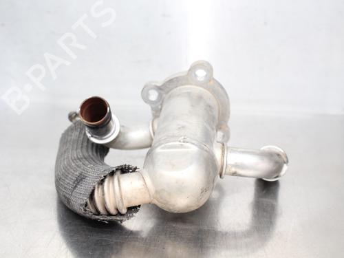 Egr FIAT GRANDE PUNTO (199_) 1.3 D Multijet (199.AXD11, 199.AXD1A, 199.AXD1B,... | BP19201584M69