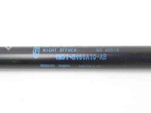 Tailgate lift support FORD FOCUS II Turnier (DA_, FFS, DS)  | BP19219297C138 