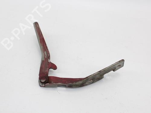 Hinge/Door check strap PEUGEOT 206 Hatchback (2A/C) 1.6 16V | BP19204682C146 