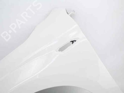 Left front fenders FIAT TIPO Hatchback (356_, 357_) 1.3 D (356HXH1A) | BP26226135C41 