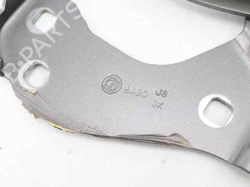 Hinge/Door check strap FIAT 500 (312_) 1.2 (312AXA1A) | BP31936386C146 