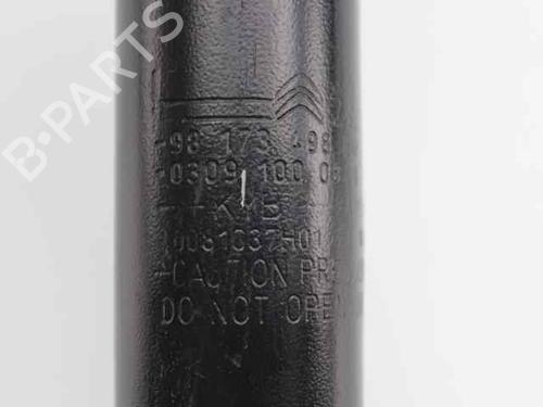 Left rear shock absorber PEUGEOT 308 II (LB_, LP_, LW_, LH_, L3_) 1.6 BlueHDi 120 | BP19220619M18 
