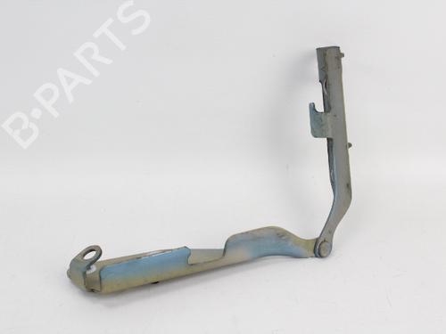 Used Hinge/Door check strap CITROËN C3 I (FC_, FN_) 1.4 HDi (68 hp) 19204564