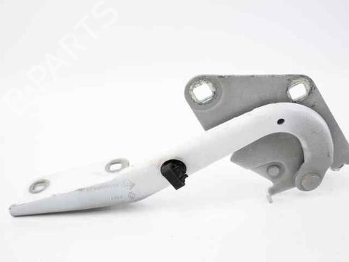 Hinge/Door check strap RENAULT MEGANE III Grandtour (KZ0/1) 1.5 dCi (KZ09, KZ0D, KZ1G, KZ29, KZ14, KZ1W, KZ10, KZ1F,... | BP21049860C146