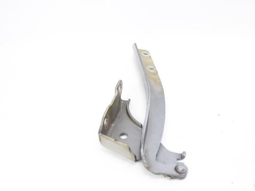 Hinge/Door check strap FIAT GRANDE PUNTO (199_) 1.3 D Multijet (199.AXD11, 199.AXD1A, 199.AXD1B,... | BP19210068C146 