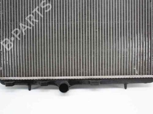 Water radiator PEUGEOT 208 I (CA_, CC_)  | BP21830366M31 