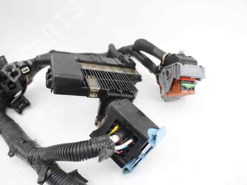 Wiring harness NISSAN QASHQAI / QASHQAI +2 I (J10, NJ10, JJ10E)  | BP19239483E16 