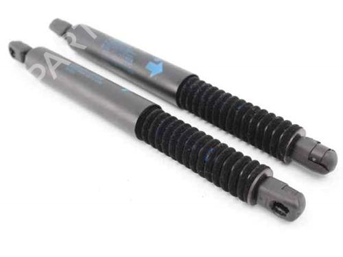 Used Tailgate lift support BMW 5 Touring (F11) [2009-2017]  19229649