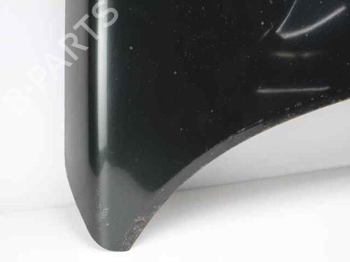 Hood LAND ROVER FREELANDER I (L314)  | BP19224912C1 