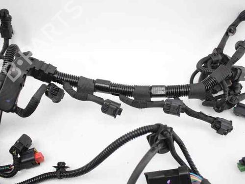 Wiring harness PEUGEOT 208 I (CA_, CC_) 1.4 HDi | BP19243315E16 