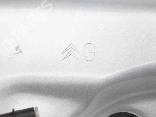 Left front door CITROËN C3 II (SC_) 1.1 i | BP23447983C2 