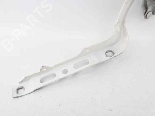 Hinge/Door check strap PEUGEOT 208 I (CA_, CC_) 1.6 HDi | BP29320806C146 