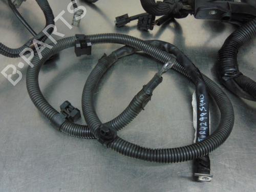 Wiring harness SMART FORFOUR (454) 1.5 CDI (454.000) | BP19194056E16 