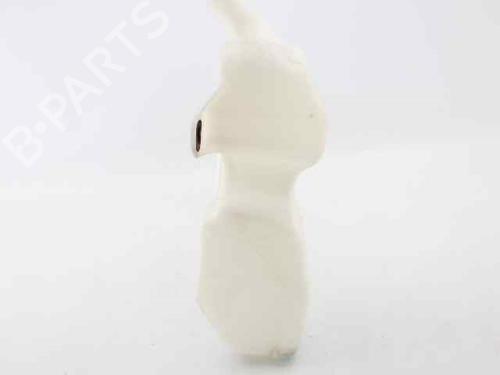 Windscreen washer tank FIAT 500 (312_) 1.2 (312AXA1A) | BP29986846C113