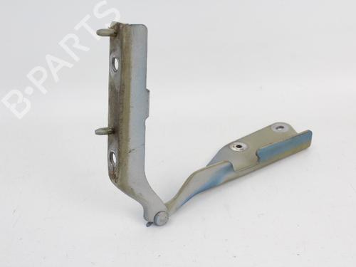 Hinge/Door check strap CITROËN C3 I (FC_, FN_) 1.4 HDi | BP19204563C146 